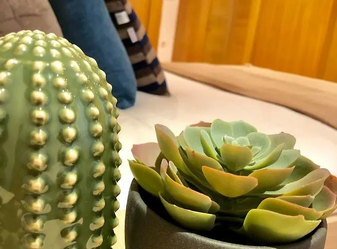 Oupen De Dor - Virgenes El Pilar Апартаменты *